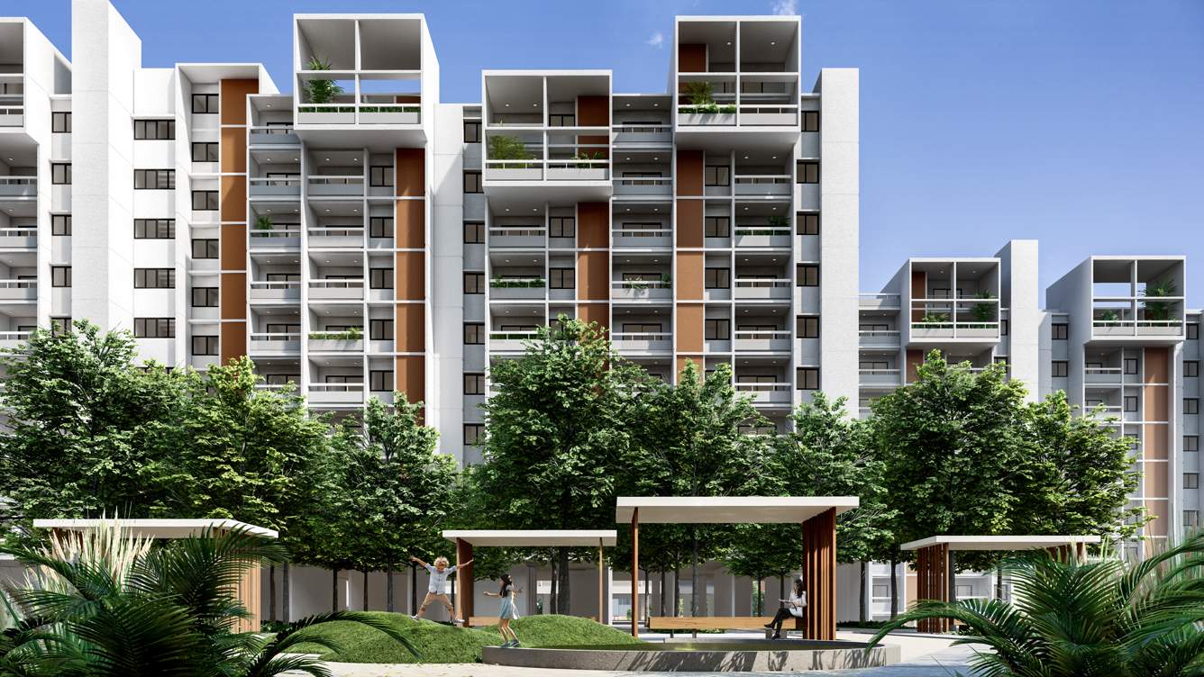  wonderwall Elevation