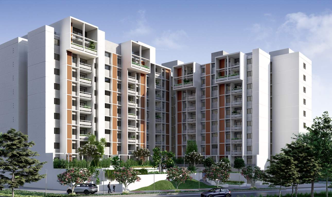  wonderwall Elevation