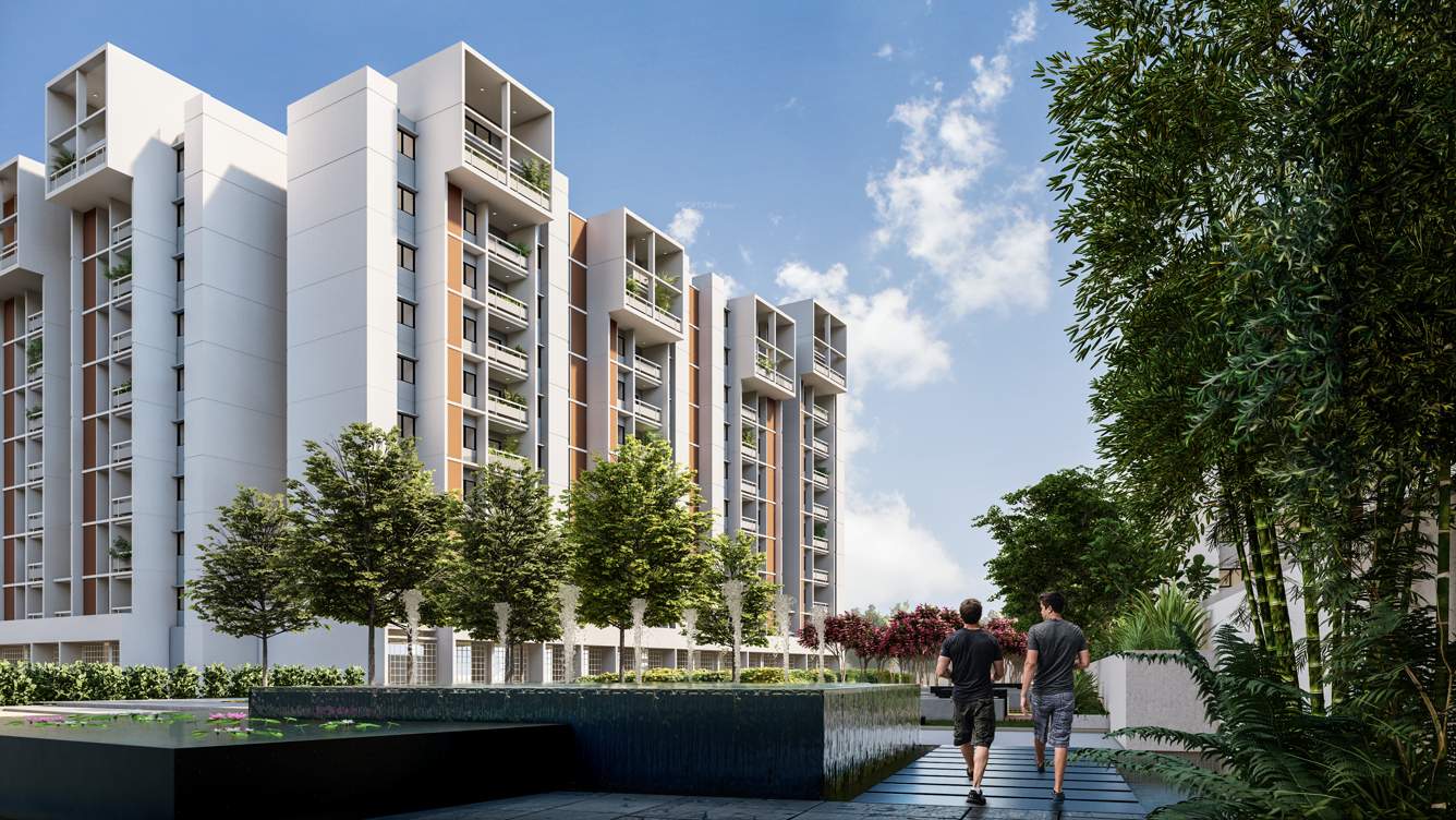  wonderwall Elevation