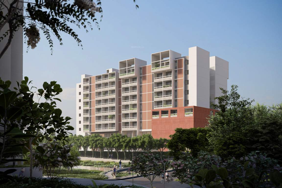  wonderwall Elevation