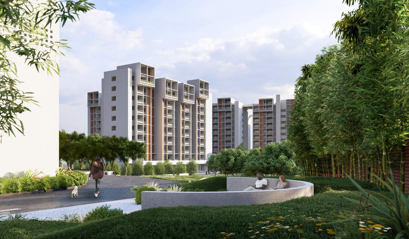  wonderwall Elevation