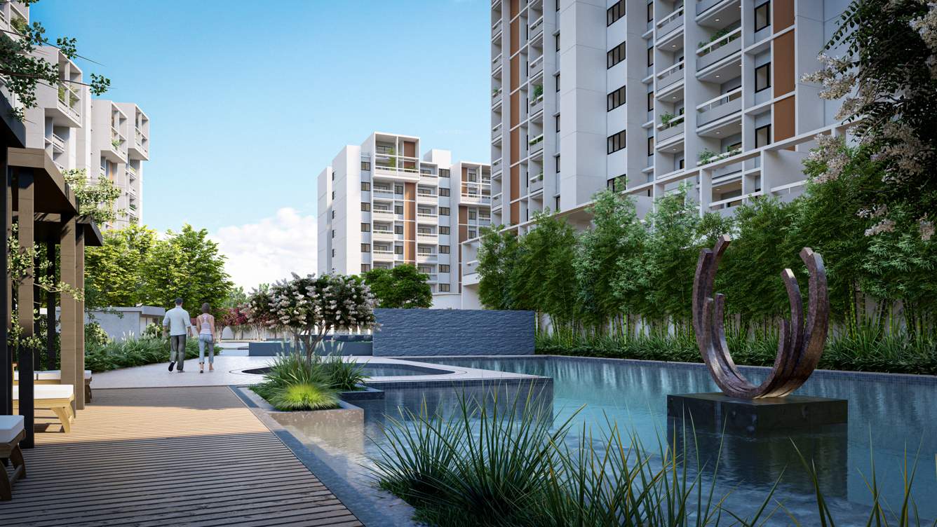  wonderwall Elevation