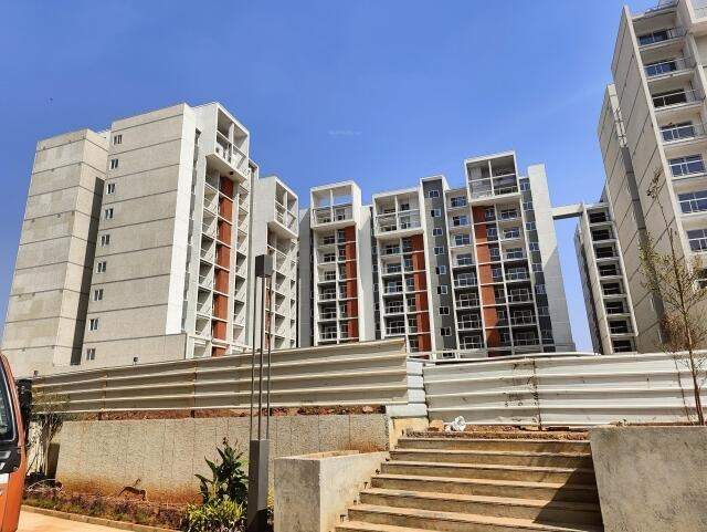  wonderwall Elevation