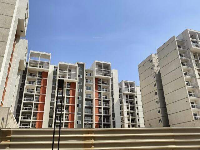  wonderwall Elevation