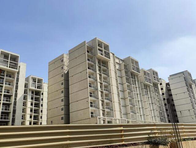  wonderwall Elevation