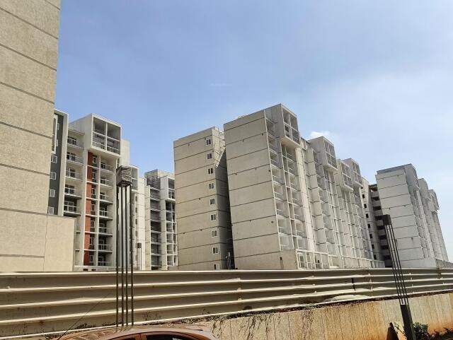  wonderwall Elevation