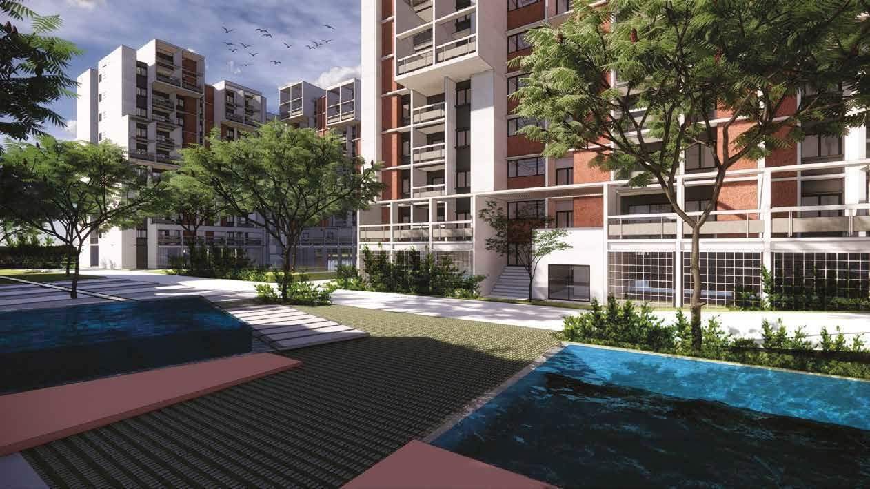  wonderwall Elevation