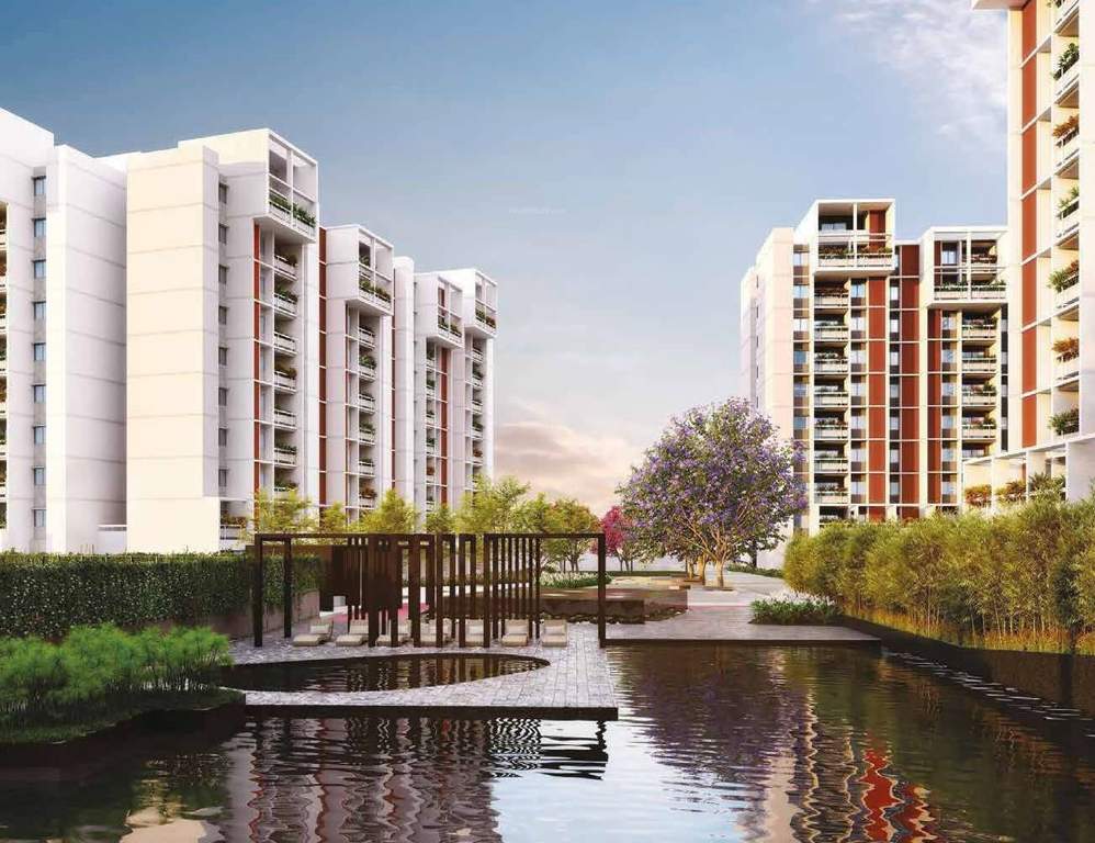  wonderwall Elevation