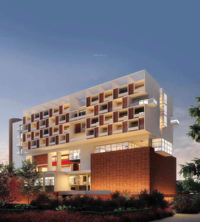  wonderwall Elevation