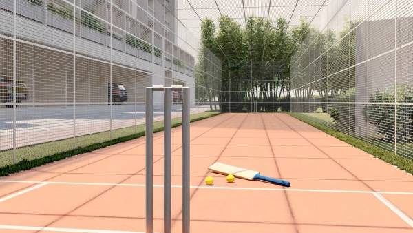  wonderwall Cricket arena