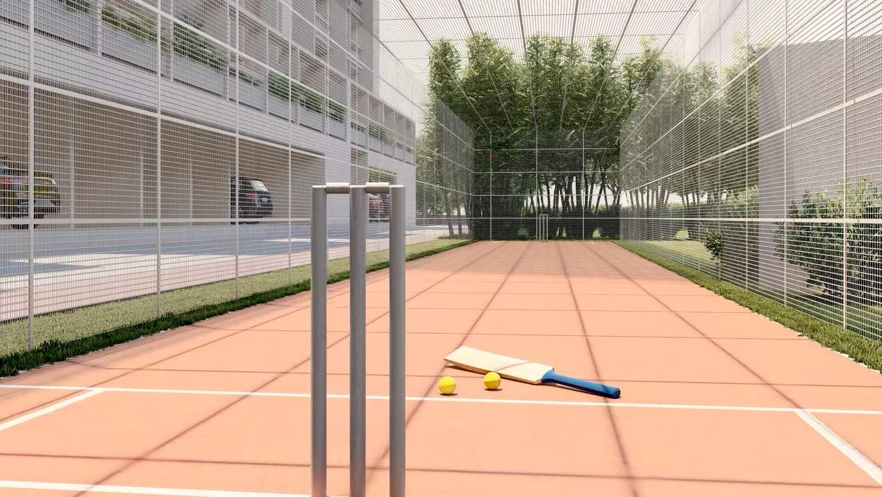  wonderwall Cricket arena