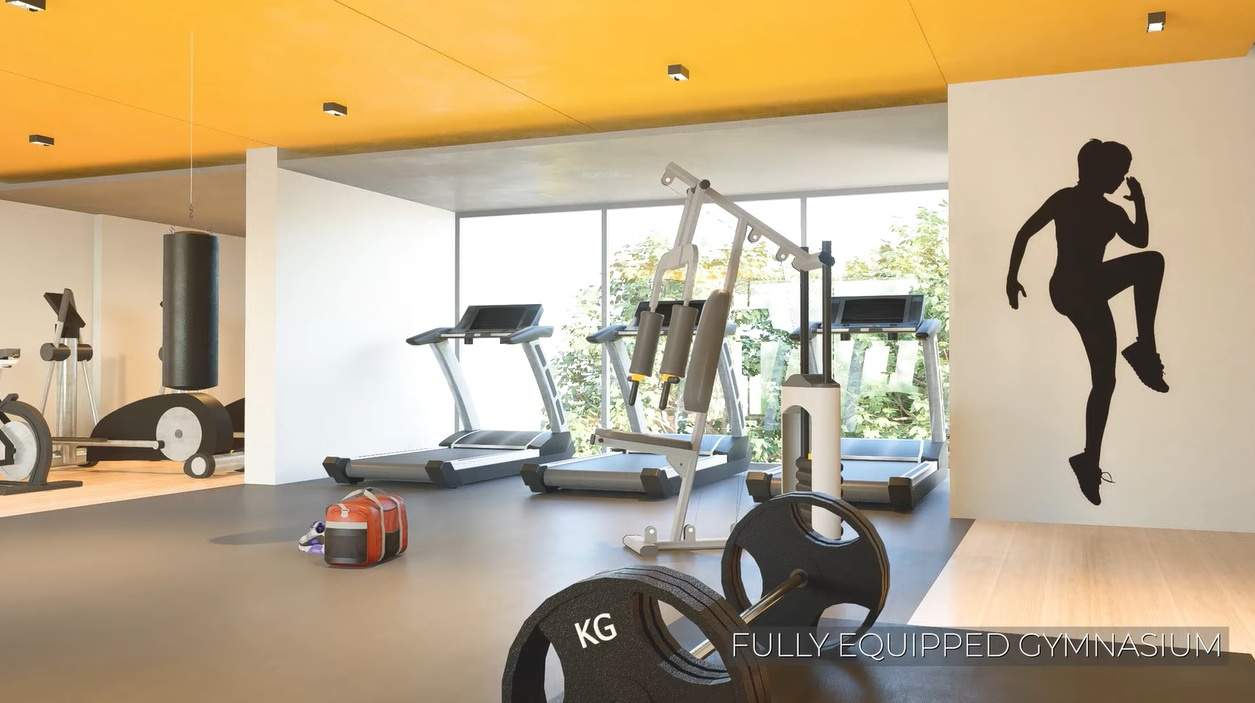  wonderwall Gymnasium