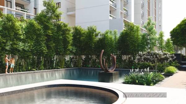  wonderwall Swimming Pool