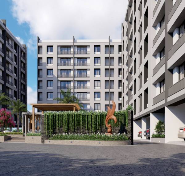 Elevation celebration-heights Elevation