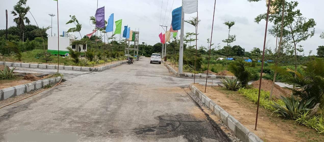  green leaf Internal Roads