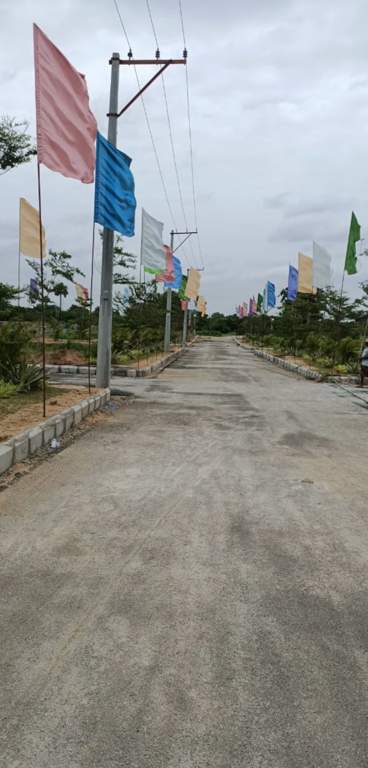  green leaf Internal Roads