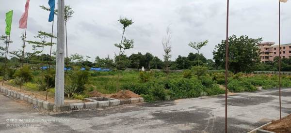  green-leaf Internal Roads