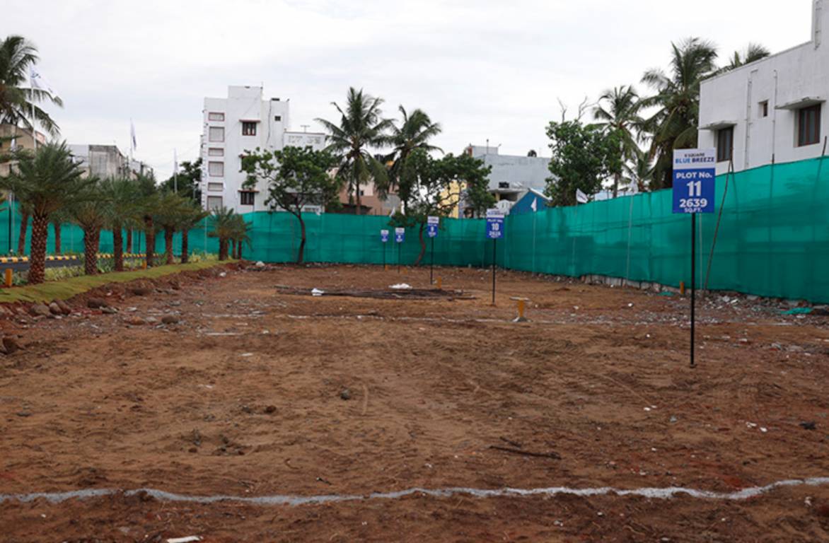  blue breeze Elevation