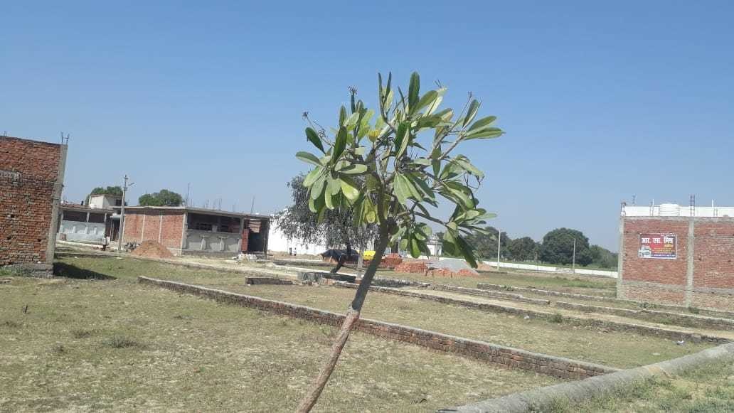  sparsh paradise Plot