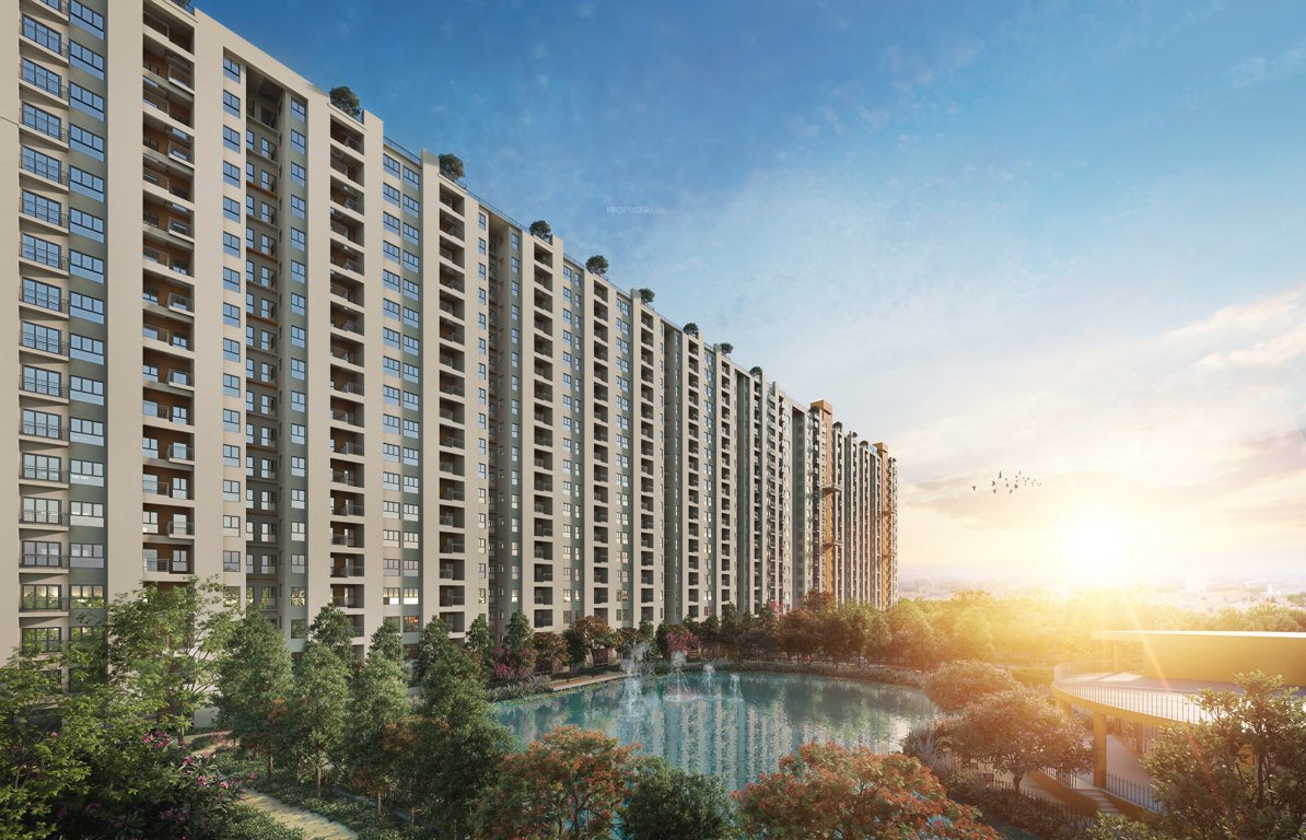  solaris shalimar Elevation
