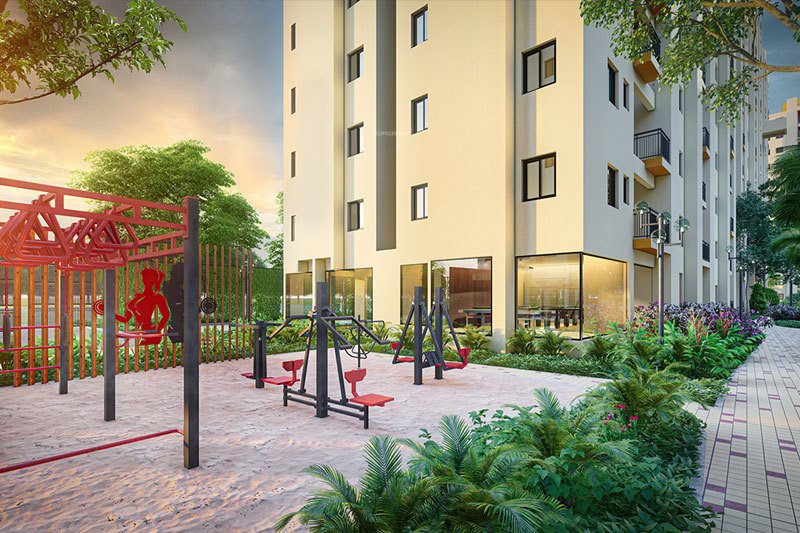  solaris shalimar Others