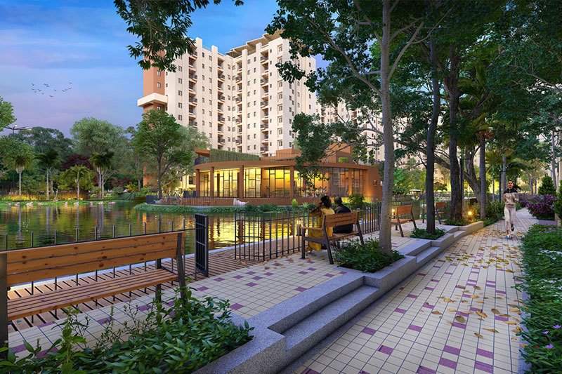  solaris shalimar Others