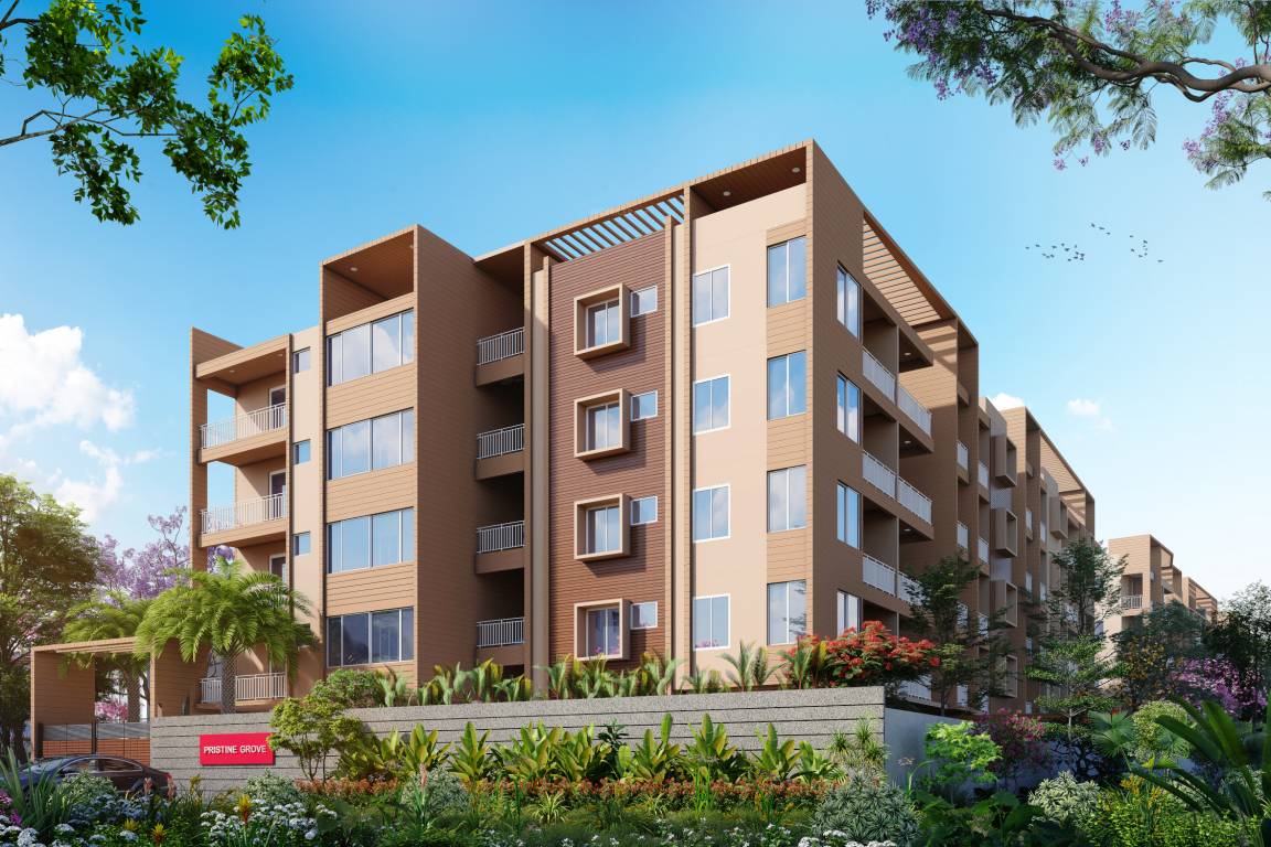 Elevation  grove Elevation