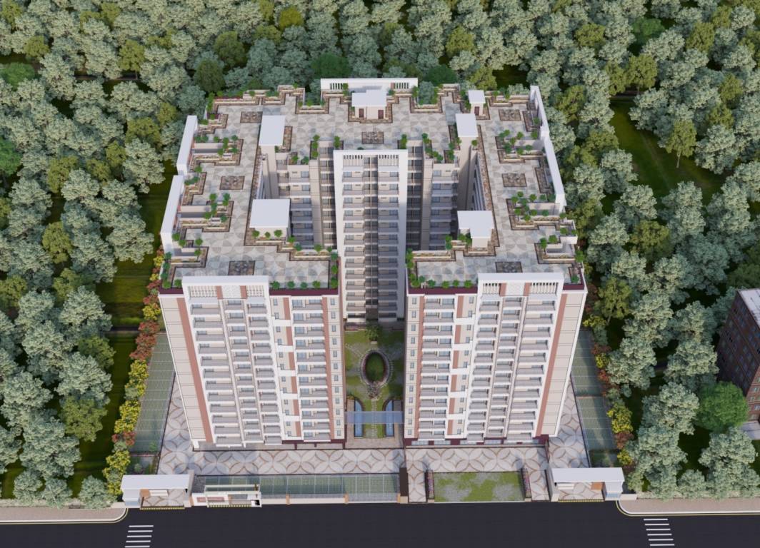  bcc daffodils Elevation