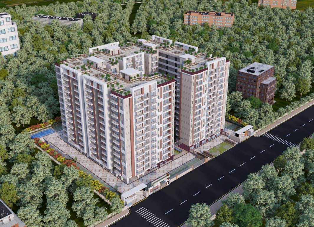  bcc daffodils Elevation