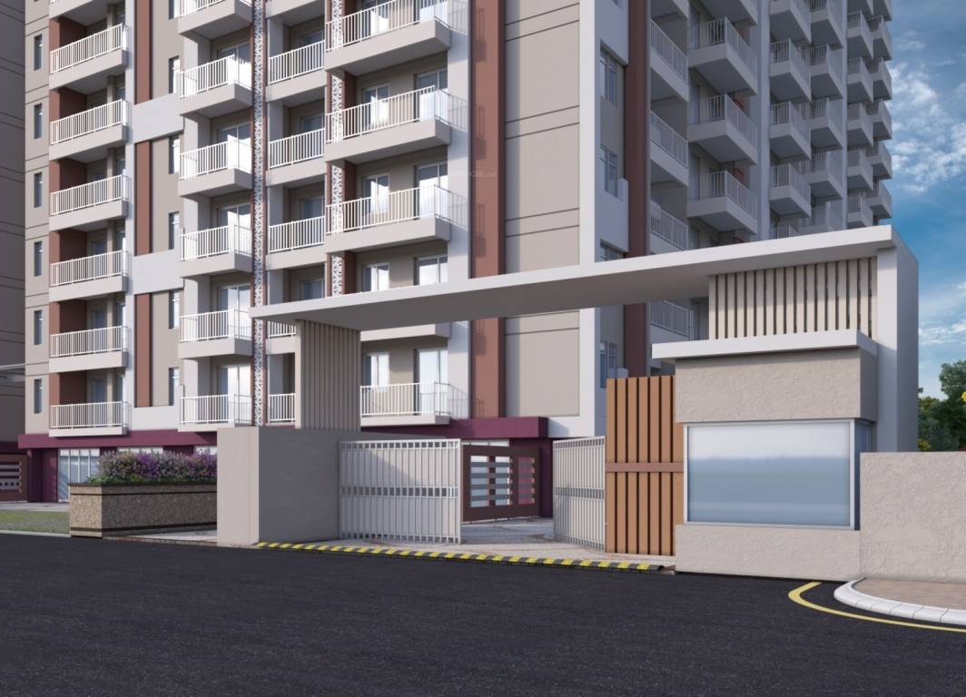  bcc daffodils Others