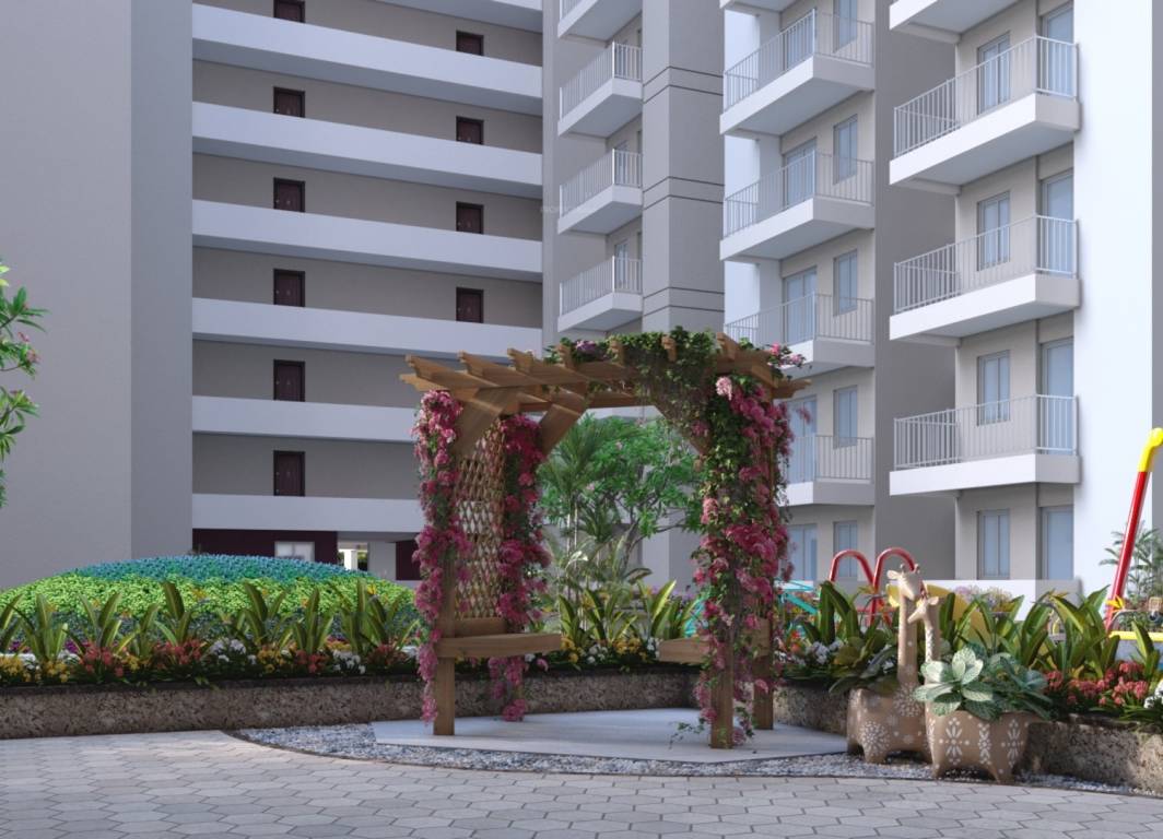  bcc daffodils Others