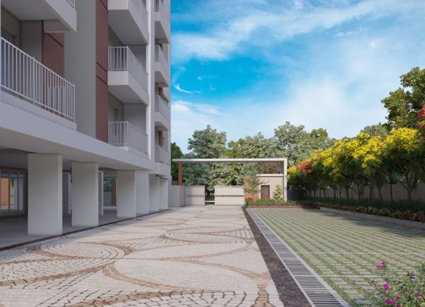  bcc-daffodils Others