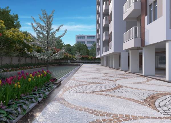  bcc-daffodils Others