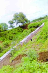 Elevation shri-aacharya-nagar Elevation