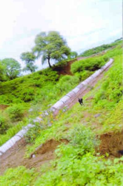  shri-aacharya-nagar Elevation