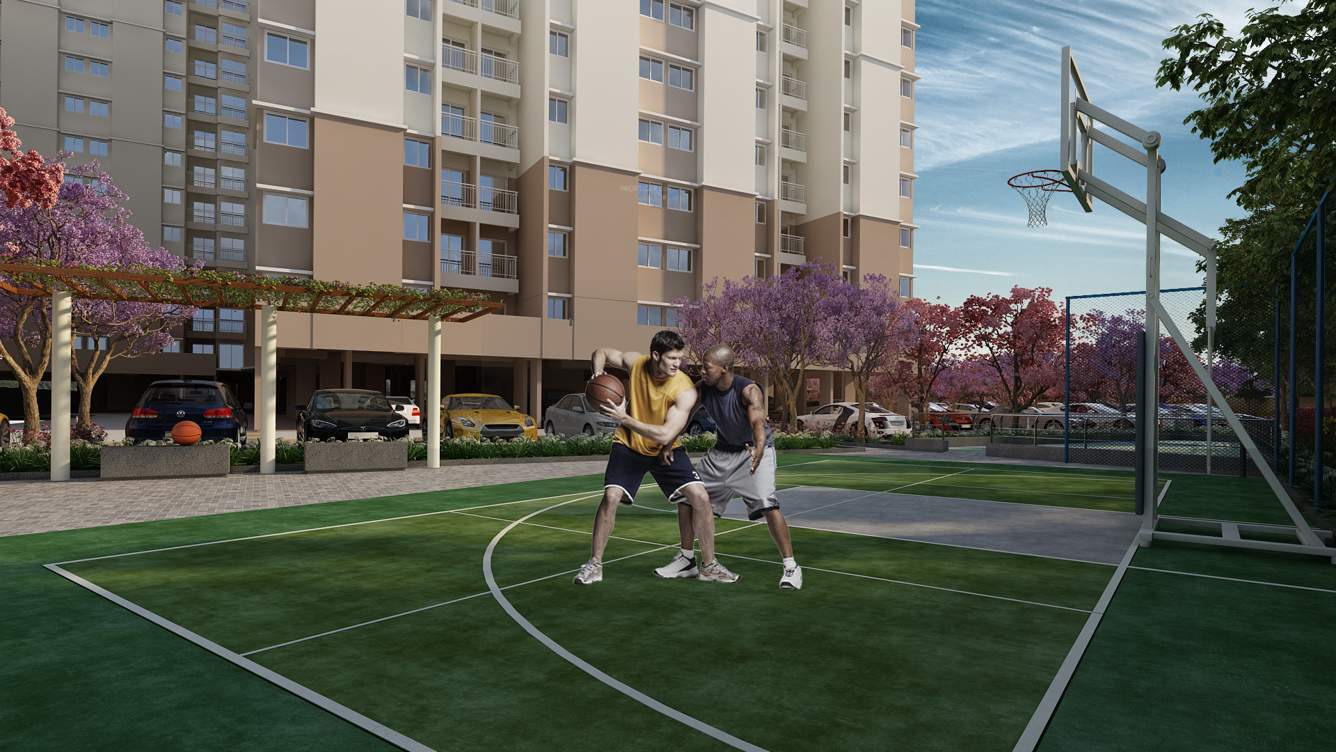 sattva ashraya Basketball Court