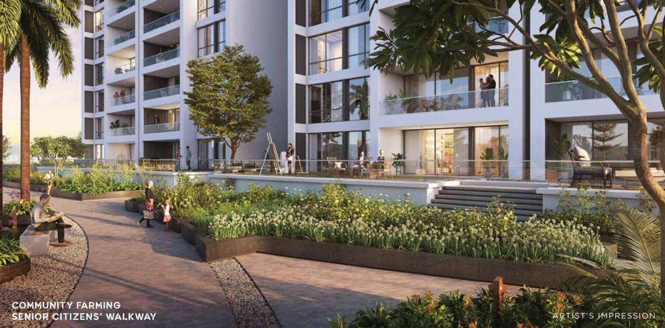  universe Senior Citizen Siteout