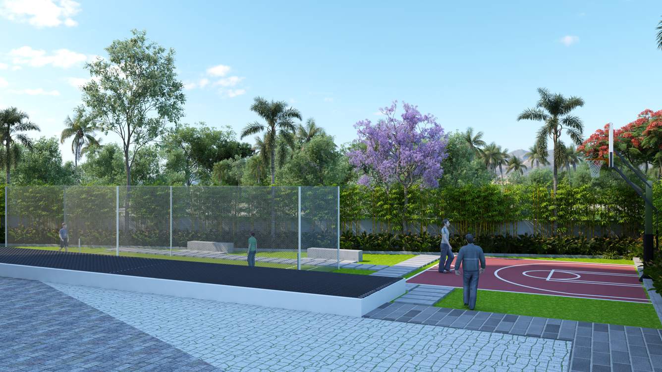  houdini Basketball Court