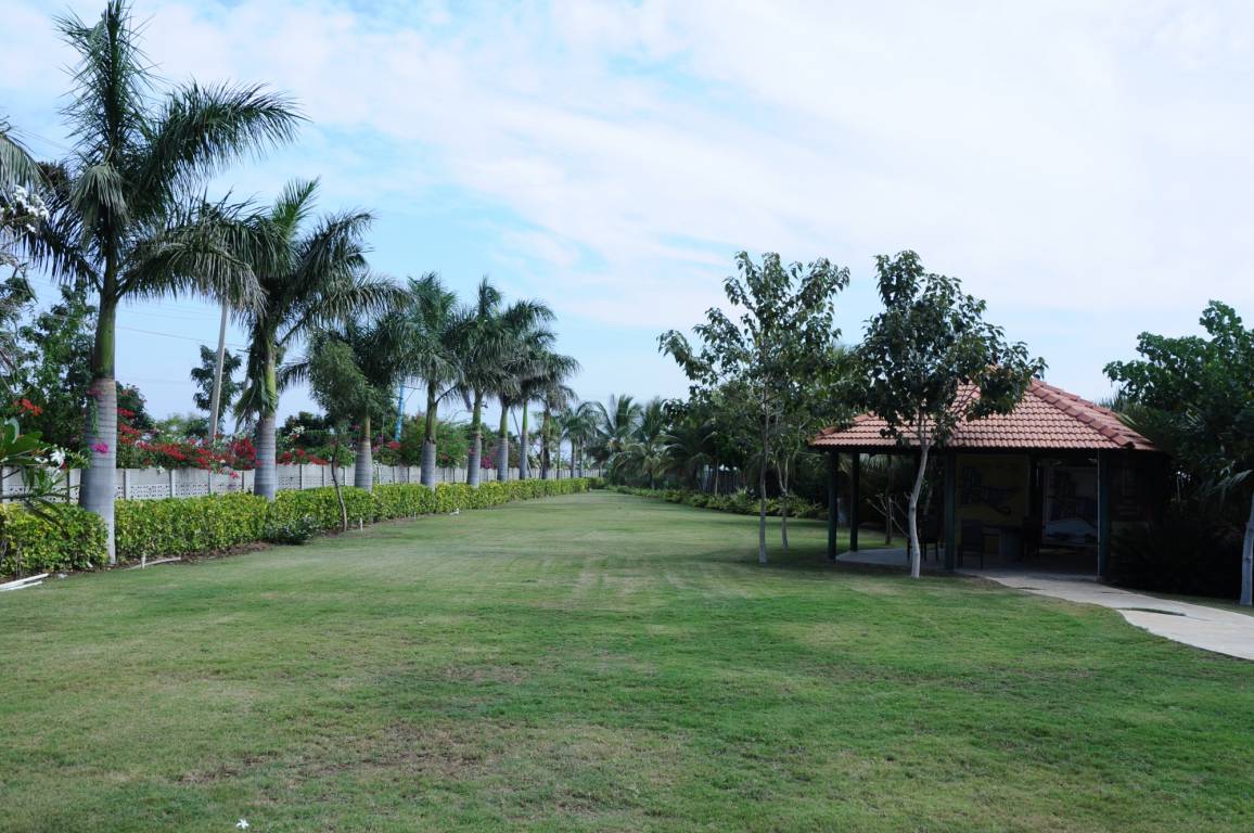  devanagari Landscape Garden and Tree Planting