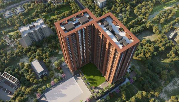 Elevation anp-memento Elevation