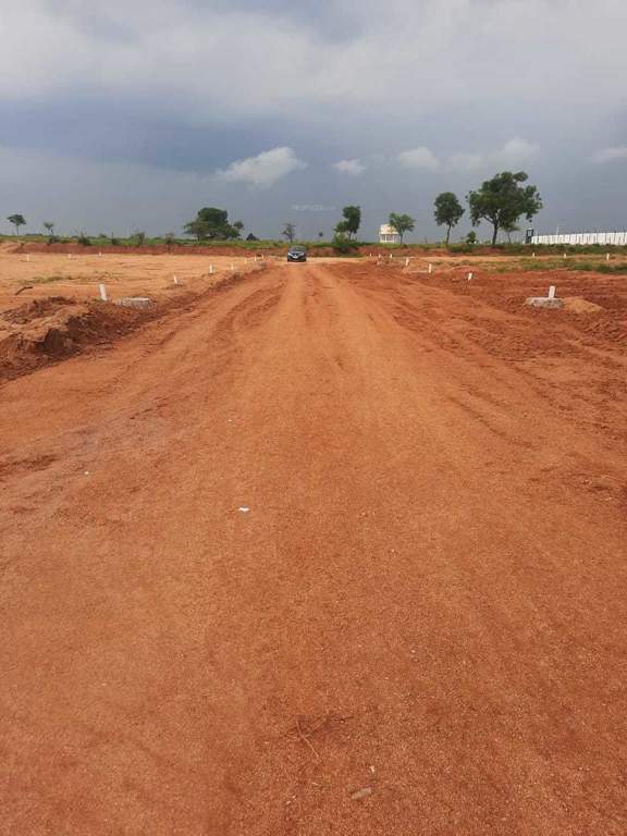  sterling county Plot