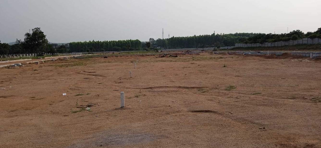  sterling county Plot