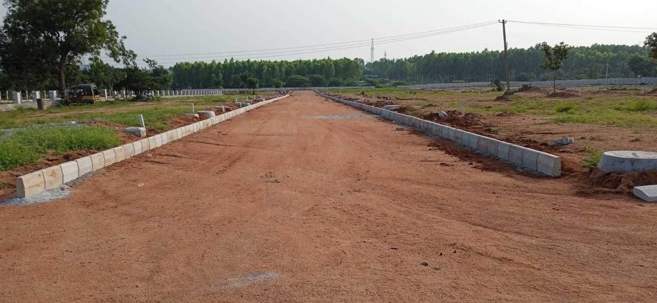  sterling county Plot