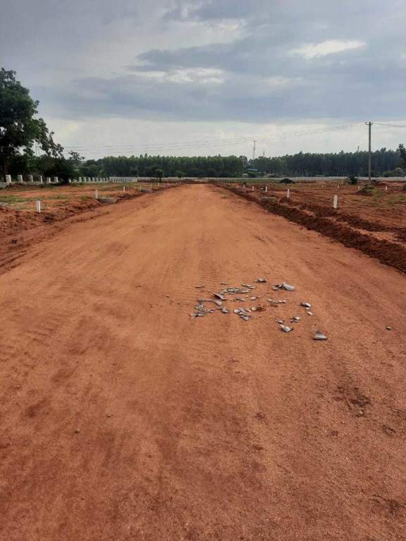  sterling county Plot