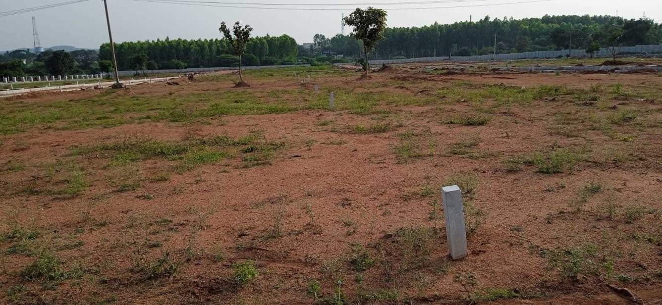  sterling county Plot