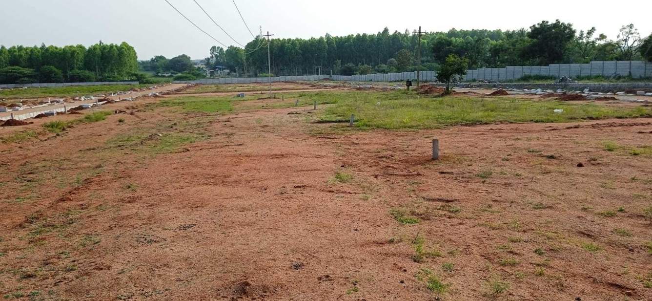  sterling county Plot