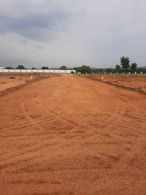  sterling county Plot