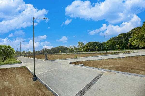  magnolia-woods Elevation