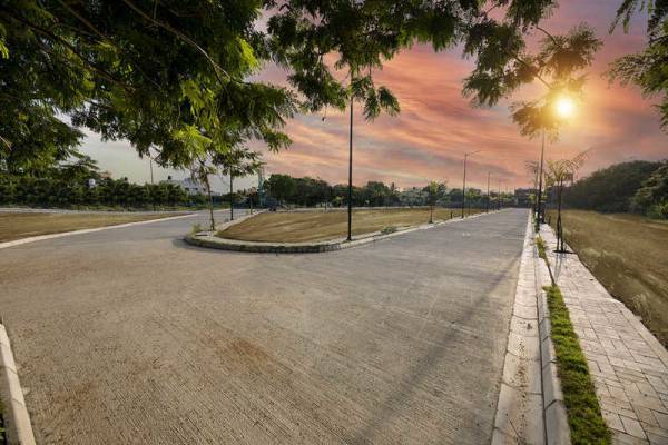  magnolia-woods Others