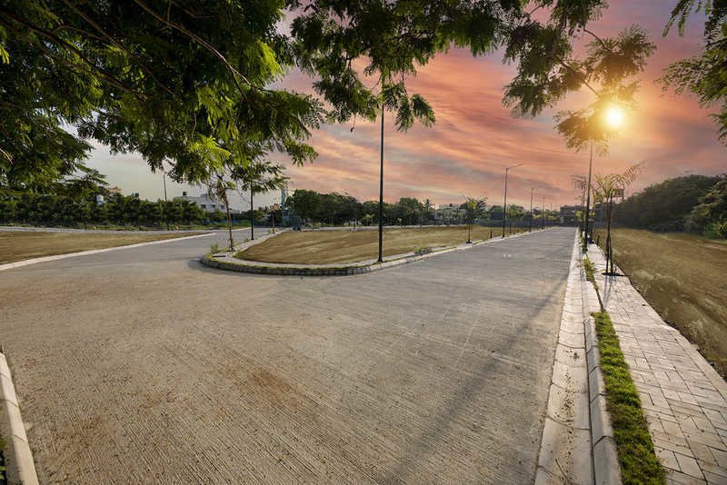  magnolia woods Others